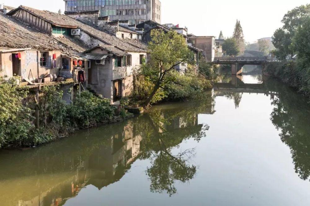 动物帮帮忙保卫家园